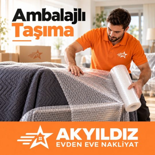 ambalajlı nakliyat